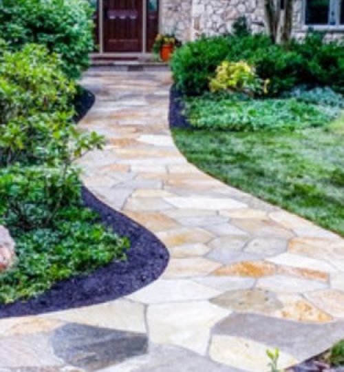 Untitled design (53)